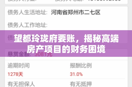 望都玲珑府要账，揭秘高端房产项目的财务困境