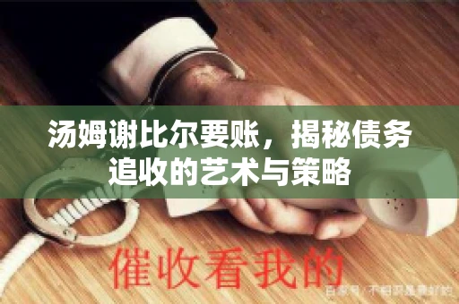 汤姆谢比尔要账，揭秘债务追收的艺术与策略