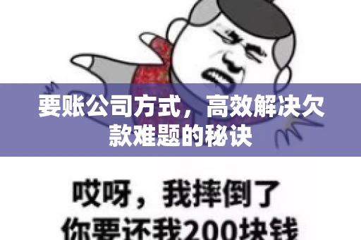 要账公司方式，高效解决欠款难题的秘诀