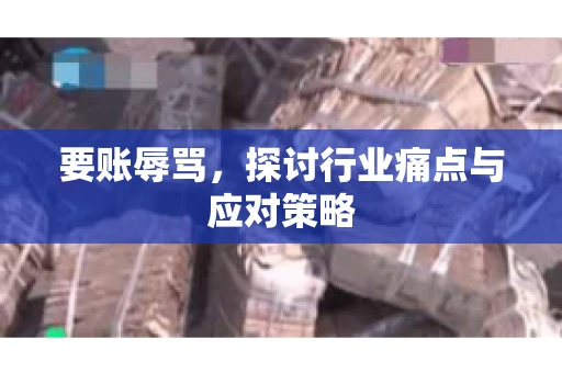 要账辱骂，探讨行业痛点与应对策略