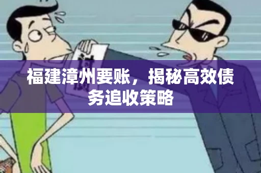 福建漳州要账，揭秘高效债务追收策略