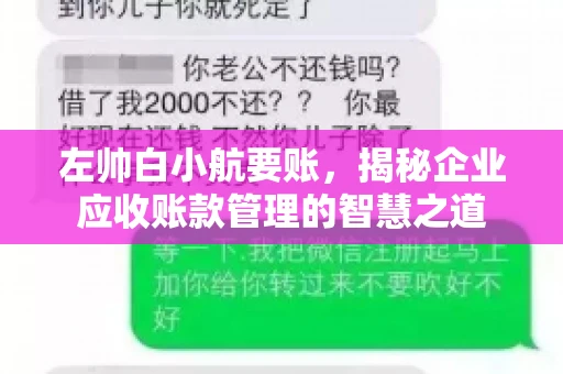 左帅白小航要账，揭秘企业应收账款管理的智慧之道