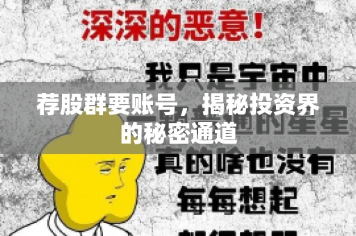 荐股群要账号，揭秘投资界的秘密通道
