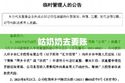 姑奶奶去要账