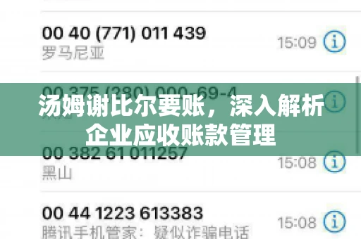 汤姆谢比尔要账，深入解析企业应收账款管理