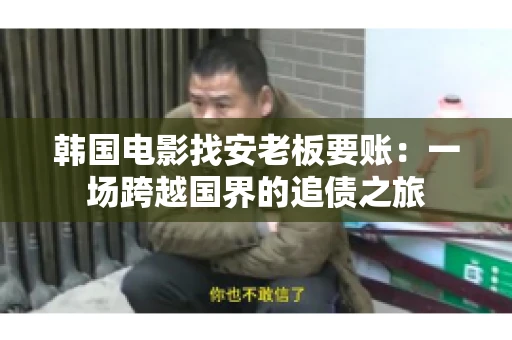 韩国电影找安老板要账:一场跨越国界的追债之旅 韩国电影找安老板要账:一场跨越国界的追债之旅
