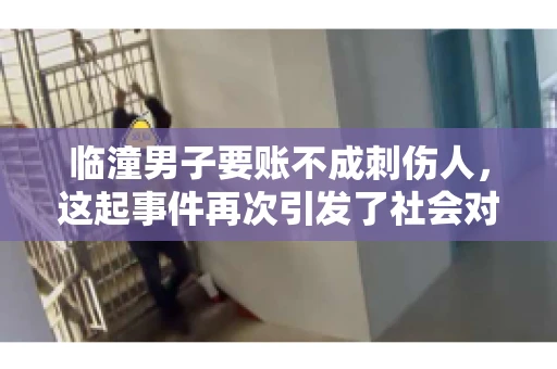 临潼男子要账不成刺伤人，这起事件再次引发了社会对讨债行为的关注。在这个故事中，我们不仅要了解事件的经过，还要思考如何避免类似悲剧的发生。