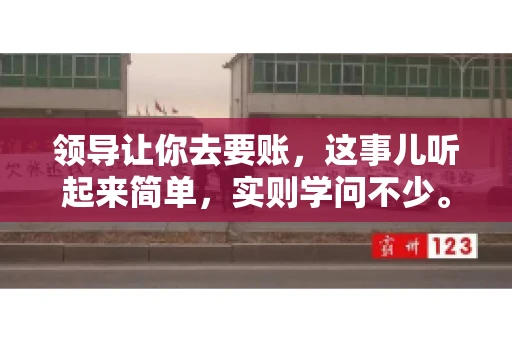 领导让你去要账，这事儿听起来简单，实则学问不少。我有个朋友，叫小王，最近就碰上了这样的难题。今天，咱们就聊聊这个话题，看看在职场中，面对领导交代的要账任务，我们应该怎么应对。