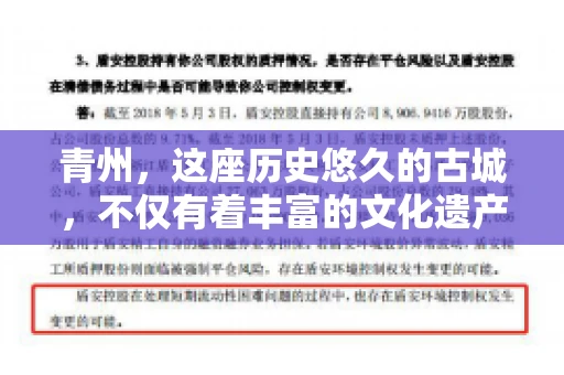 青州，这座历史悠久的古城，不仅有着丰富的文化遗产，也是商业活动频繁的地方。对于许多企业来说，应收账款的管理是日常运营中不可或缺的一环。那么，青州那里有要账的公司呢？今天，我们就来聊聊这个话题。