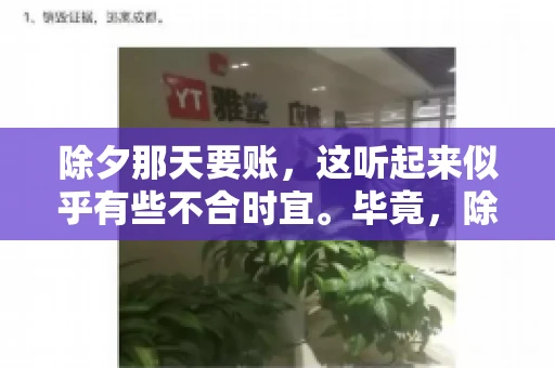 除夕那天要账，这听起来似乎有些不合时宜。毕竟，除夕是团圆的时刻，家家户户都在享受着节日的欢乐。然而，在现实生活中，总有一些人因为各种原因，不得不在这样一个特殊的日子里，去处理一些不那么愉快的事情，比如要账。今天，我们就来聊聊这个话题，看看在除夕那天要账，究竟是一种怎样的体验。