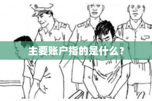 主要账户指的是什么？