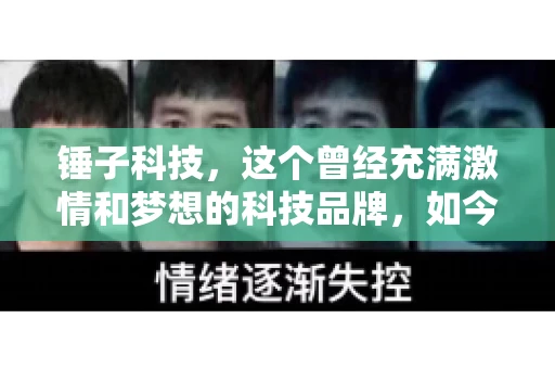 锤子科技，这个曾经充满激情和梦想的科技品牌，如今却陷入了要账的困境。今天，我们就来聊聊锤子科技要账的那些事儿。