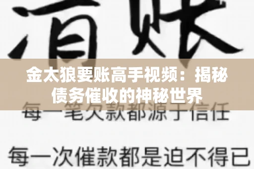 金太狼要账高手视频：揭秘债务催收的神秘世界