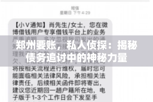 郑州要账，私人侦探：揭秘债务追讨中的神秘力量