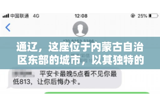 通辽,这座位于内蒙古自治区东部的城市,以其独特的地理位置和丰富的自然资源而闻名。然而,对于许多企业来说,通辽的另一个重要角色可能是其作为要账公司的聚集地。那么,通辽究竟有几家要账公司呢?今天,我们就来聊聊这个话题。 通辽,这座位于内蒙古自治区东部的城市,以其独特的地理位置和丰富的自然资源而闻名。然而,对于许多企业来说,通辽的另一个重要角色可能是其作为要账公司的聚集地。那么,通辽究竟有几家要账公司呢?今天,我们就来聊聊这个话题。