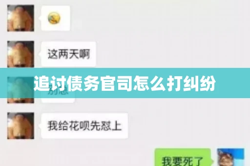 追讨债务官司怎么打纠纷