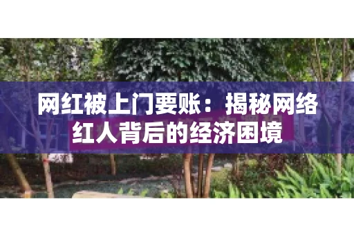 网红被上门要账：揭秘网络红人背后的经济困境