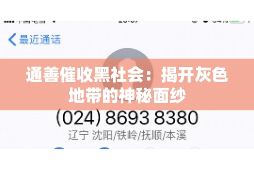 通善催收黑社会：揭开灰色地带的神秘面纱
