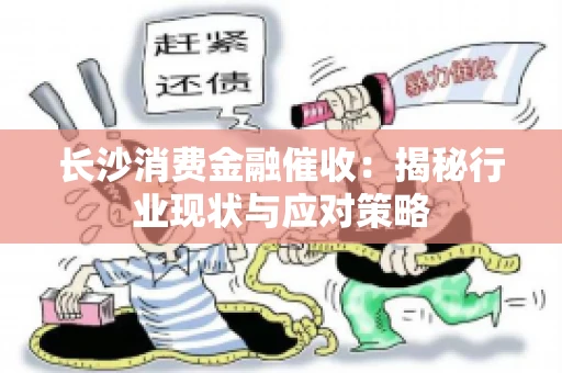 长沙消费金融催收：揭秘行业现状与应对策略