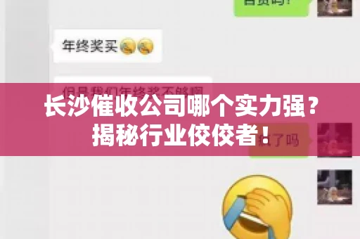 长沙催收公司哪个实力强?揭秘行业佼佼者! 长沙催收公司哪个实力强?揭秘行业佼佼者!